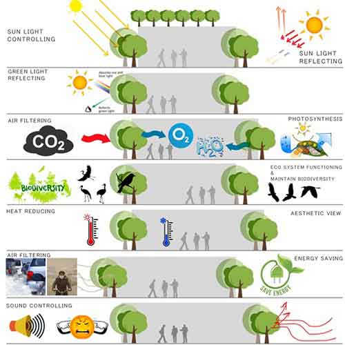 Impact of Vertical Landscape in Urban Spaces