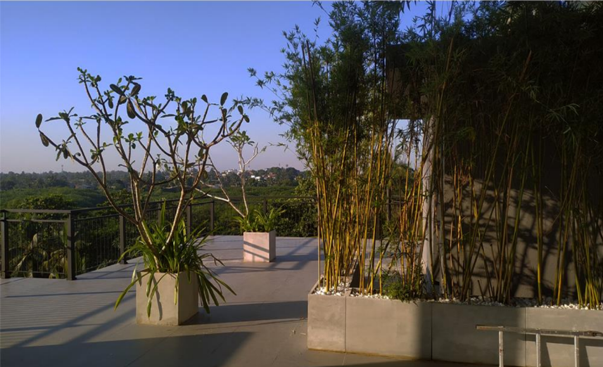 HOTEL LANDSCAPE @ BELLANVILA, SRI LANKA