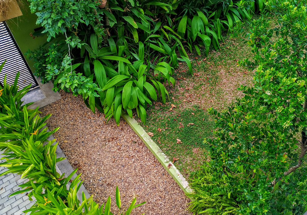 DR. SAMITHA'S RESIDENTIAL LANDSCAPE PROJECT